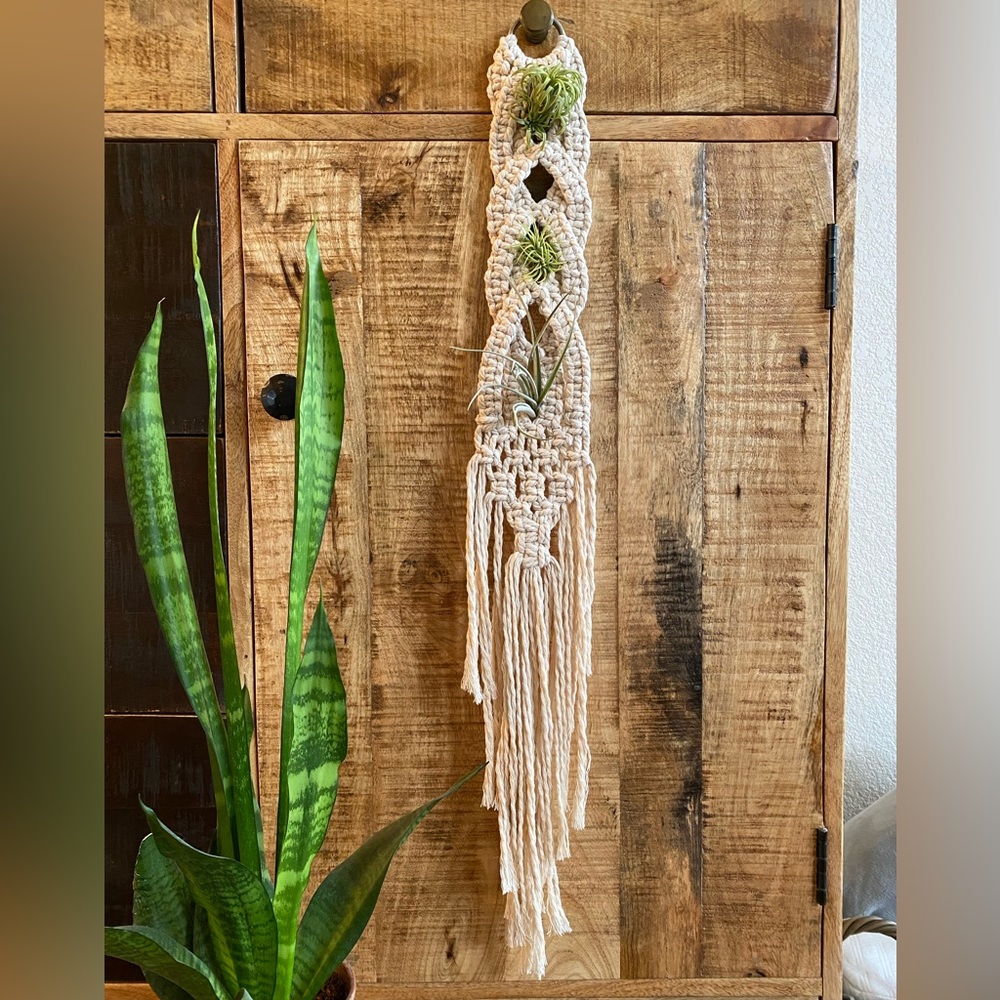 Macrame wall hanging/air plant holder